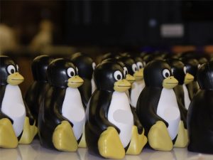 013-linux-many-100656218-gallery.idge_-3