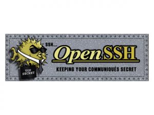 023-openssh-100656232-gallery.idge_-300x