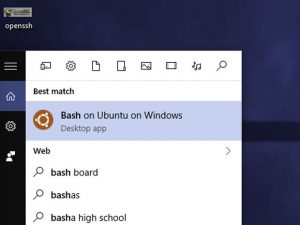 026-bash-windows-100656238-gallery.idge_